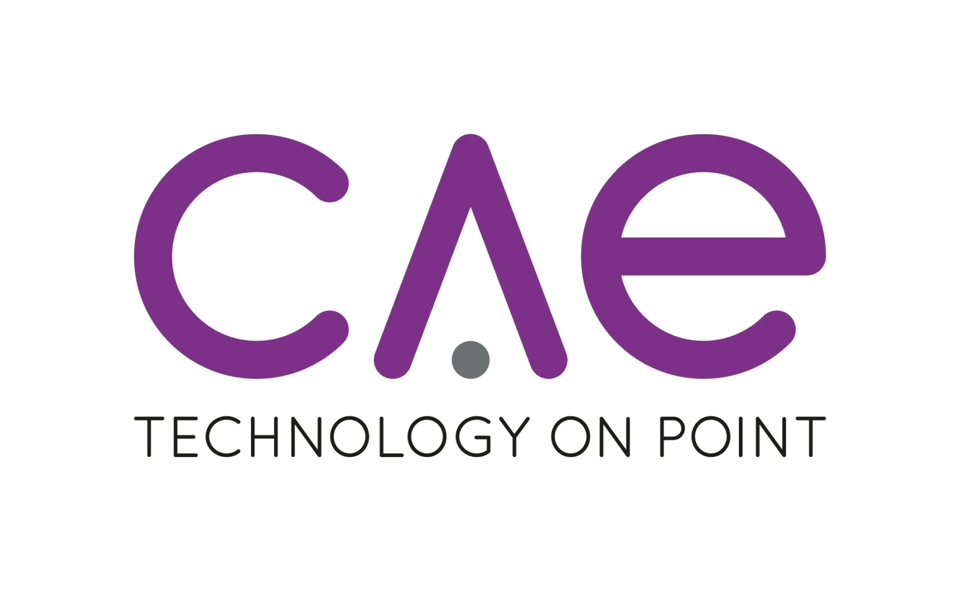 CAE Technology On Point
